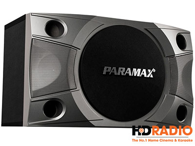 loa-karaoke-paramax-p-900.jpg