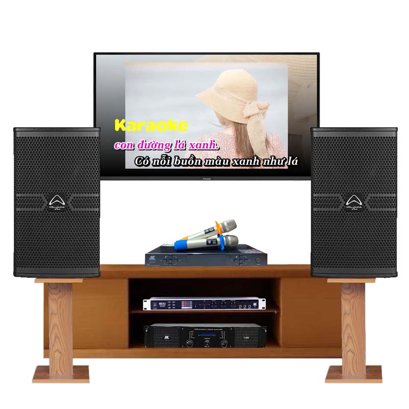 Dàn Karaoke Cao Cấp HDR70 ( Whafedale Anglo E10, Công suất, DK1000, Micro )