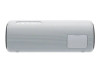 Loa Sony SRS XB31-9