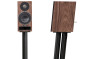 Loa PMC Twenty 5.21 (Độ nhạy 86.5dB, Tần số 46Hz-25KHz)-2