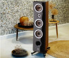 Loa Focal Kanta No.2 (Độ nhạy 91dB, Tần số 35Hz-40KHz)-1