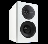 Loa Definitive Technology Demand D9-1