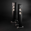 Loa Raidho XT2 (Độ nhạy 85dB, Tần số 60Hz-50KHz)-1