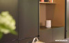 Loa Harman Kardon Citation One-7