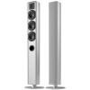 Loa Piega ACE 50 (Độ nhạy 90dB, Tần số 45Hz-40KHz)-3