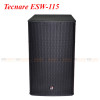 Loa Sub Tecnare ESW-115, Sub hơi, 500W, Bass 40cm-5
