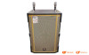 Loa kéo Prosing W18C, Bass 50 cm, Công suất 200W, Kèm 2 tay micro-1