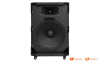 Loa kéo Prosing W18C, Bass 50 cm, Công suất 200W, Kèm 2 tay micro-6