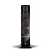 Loa Dali Rubicon 8C (Độ nhạy 90.5dB, Tần số 36Hz-30KHz)-2