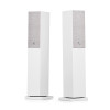 Loa AudioPro A36-1