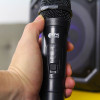 Loa Kiwi XT6.5-4