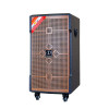 Loa Dalton TS-10G250N, Bass 25cm, công suất 300W, Pin 3h đến 5h, Kèm 2 micro-1
