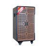 Loa Dalton TS-10G250N, Bass 25cm, công suất 300W, Pin 3h đến 5h, Kèm 2 micro-3
