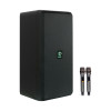 Loa Dalton TS 10G300X-1
