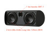 Loa Piega Ace Center Wireless (Độ nhạy 87dB, Tần số 35Hz-25KHz)-7