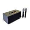 Loa Acnos KS362D-1