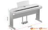 Đàn Piano Yamaha DGX 670, piano điện-4
