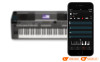Đàn Piano Yamaha DGX 670, piano điện-23