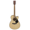 Đàn Guitar Yamaha FS100C, acoustic guitar-1