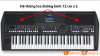 Đàn Organ Yamaha PSR SX600-10
