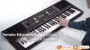 Đàn Organ Yamaha PSR E363-12