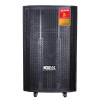 Loa Acnos CB4050Max-1
