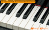 Đàn Piano Yamaha C1X-8