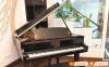 Đàn Piano Yamaha C3X-2