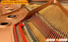 Đàn Piano Yamaha C3X-7
