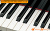 Đàn Piano Yamaha C3X-10