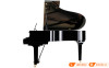 Đàn Piano Yamaha C3X-13