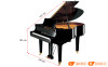 Đàn Piano Yamaha GC1-4