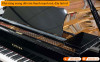 Đàn Piano Yamaha C5X-6