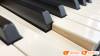 Đàn Piano Yamaha CLP-785-5