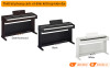 Đàn Piano Yamaha YDP-145, piano điện-2