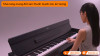 Đàn Piano Yamaha YDP-S35, piano điện-5