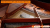 Đàn Piano Yamaha P-125a-4