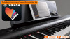 Đàn Piano Yamaha P-125a-10