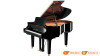 Đàn Piano Yamaha C2X SH3, grand piano-1