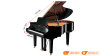 Đàn Piano Yamaha C2X SH3, grand piano-3