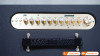 Loa Acnos CS550SR-15