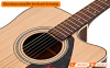 Đàn Guitar Yamaha FX370C, electro-acoustic guitar-3