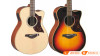 Đàn Guitar Yamaha AC1M, electro-acoustic guitar-5