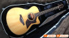 Đàn Guitar Yamaha A1M, electro-acoustic guitar-5