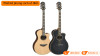 Đàn Guitar Yamaha APX1200II-3