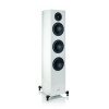 Loa Gauder Akustik Capello 100, 3 đường tiếng, 300W-2
