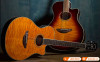 Đàn Guitar Yamaha APX600FM-2