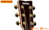 Đàn Guitar Yamaha LL-TA, electro-acoustic guitar-9