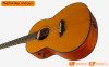 Đàn Guitar Yamaha CSF-TA, electro-acoustic guitar-3