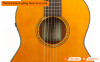 Đàn Guitar Yamaha CSF-TA, electro-acoustic guitar-6